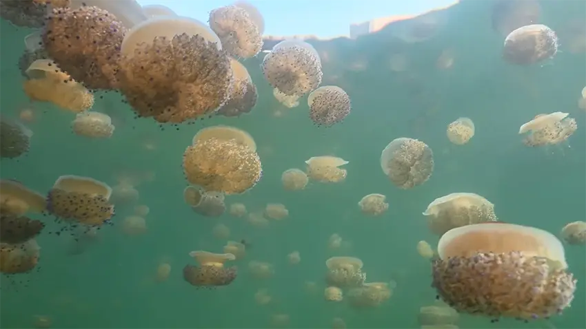 THE DEFIANCE BEHIND THE SCENES